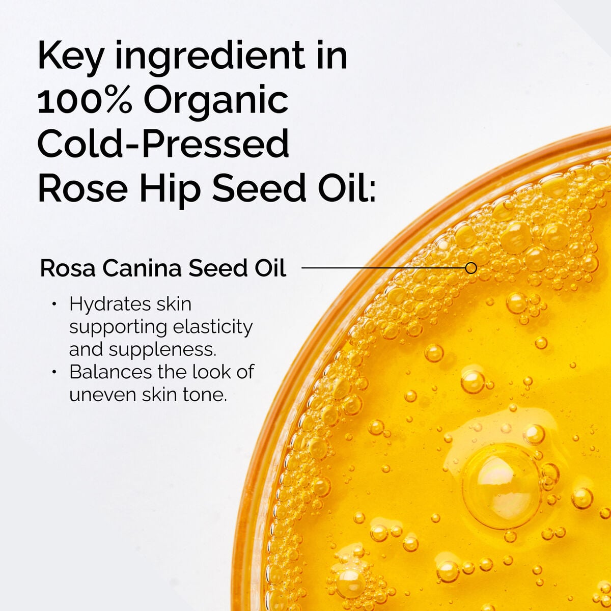 100-organic-cold-pressed-rose-hip-seed-oil-c6 FY25-D41247-ORD-Web-PDP-100-Rose-Hip-Oil-1x1-EN-2.jpg