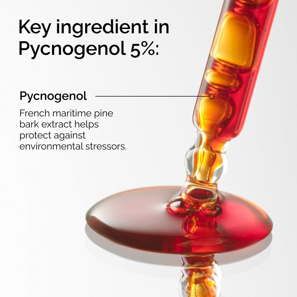 pycnogenol-5-x9 FY25-D41247-ORD-Web-PDP-Pyc-5pct-1x1-EN-2a.jpg