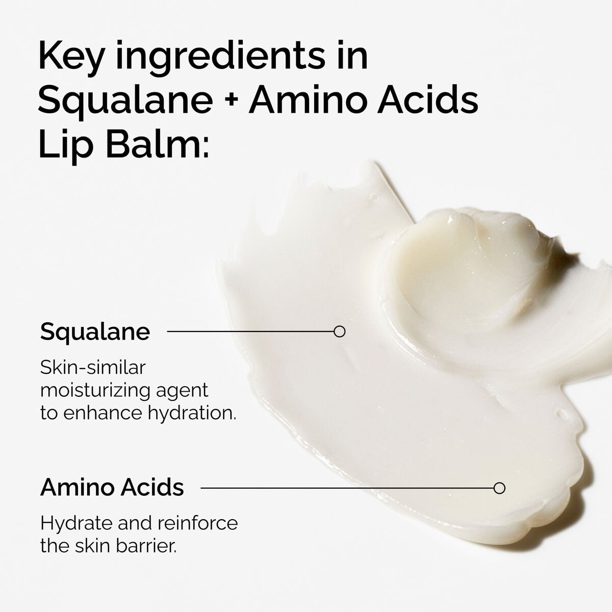 squalane-amino-acids-lip-balm-d8 FY25-D41247-ORD-Web-PDP-Sql-Amino-Lip-1x1-EN-2a.jpg